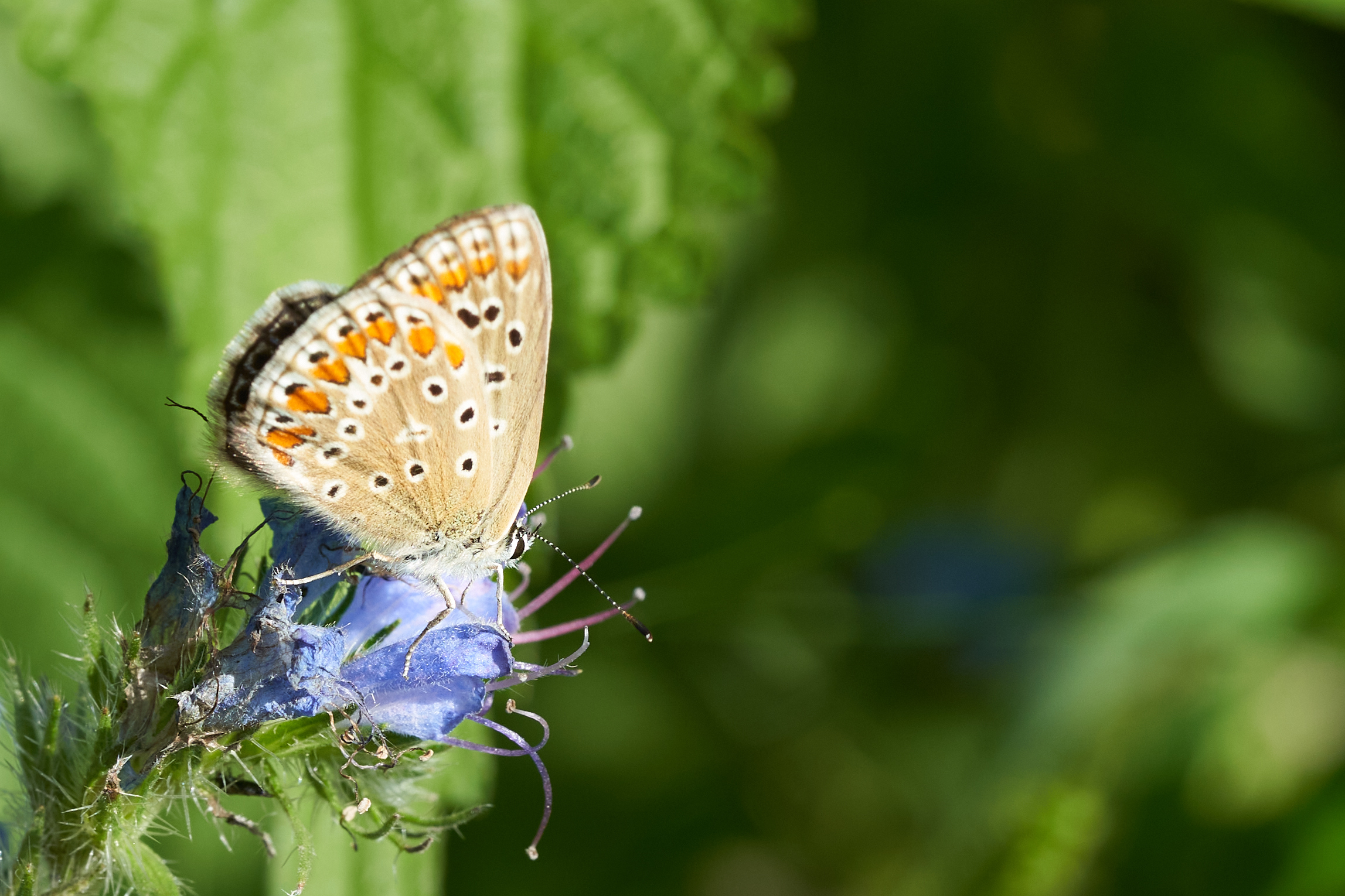 Landschaftspark Nord 0230